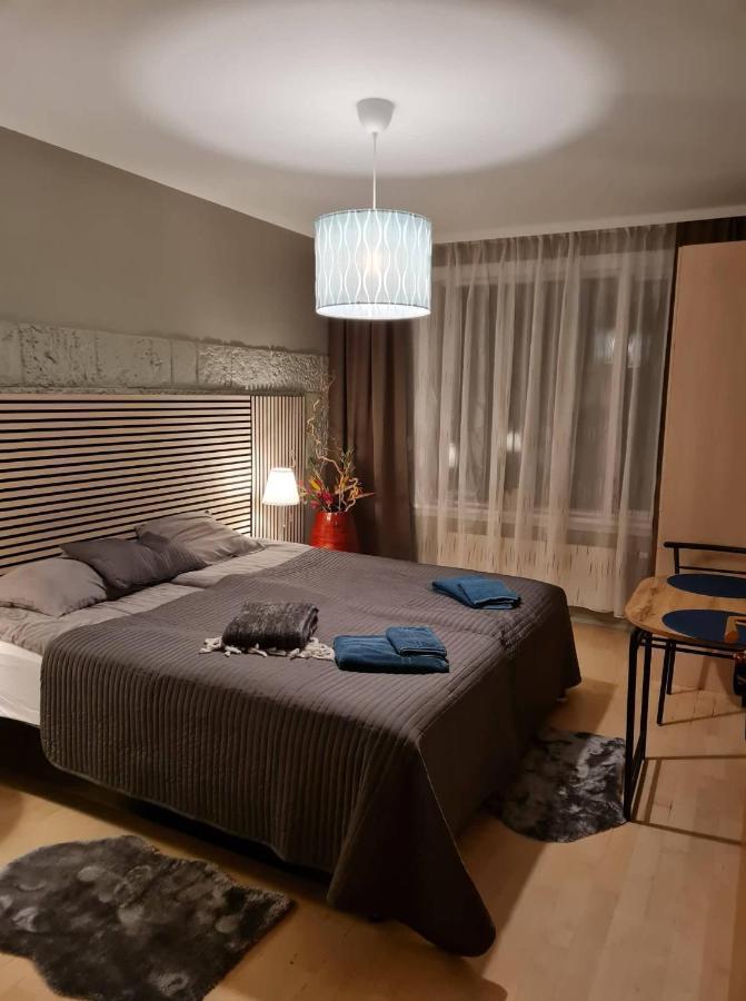 Cozy Stay In Downtown 雷克雅維克 外观 照片